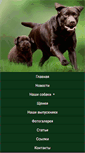 Mobile Screenshot of defino.ru